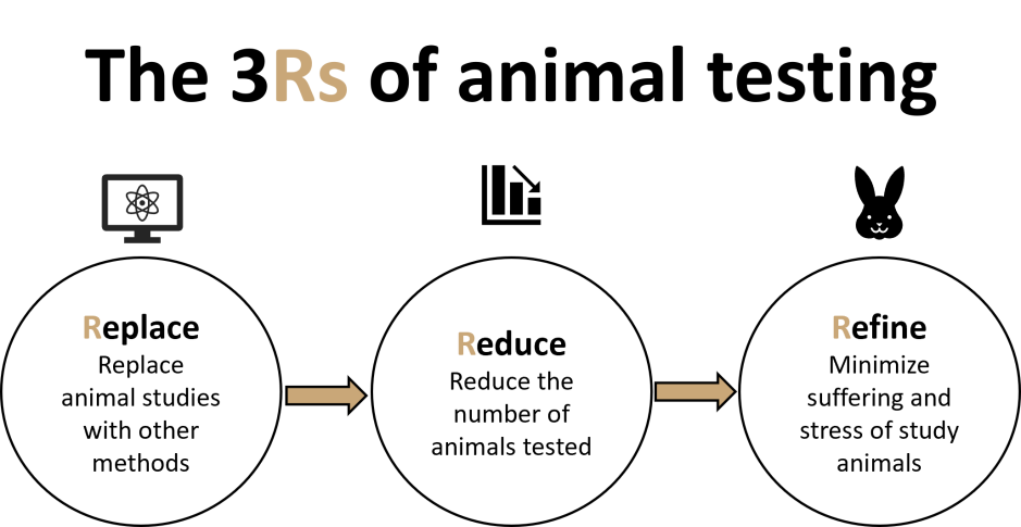 Animal Testing & Medical Devices: 3Rs Progress | Efor